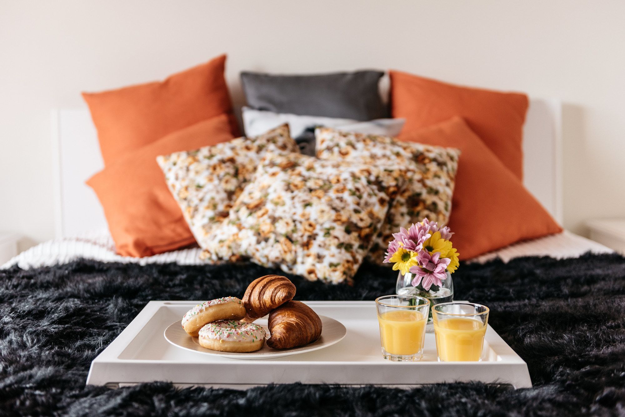 Rakowicka 20B Apartment Novum Krakkó Kültér fotó